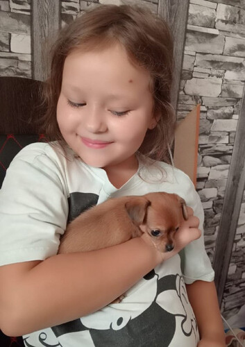 Семейного фестиваля «Поможем нашим хвостикам».